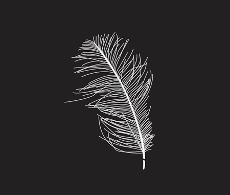 Free feather vector