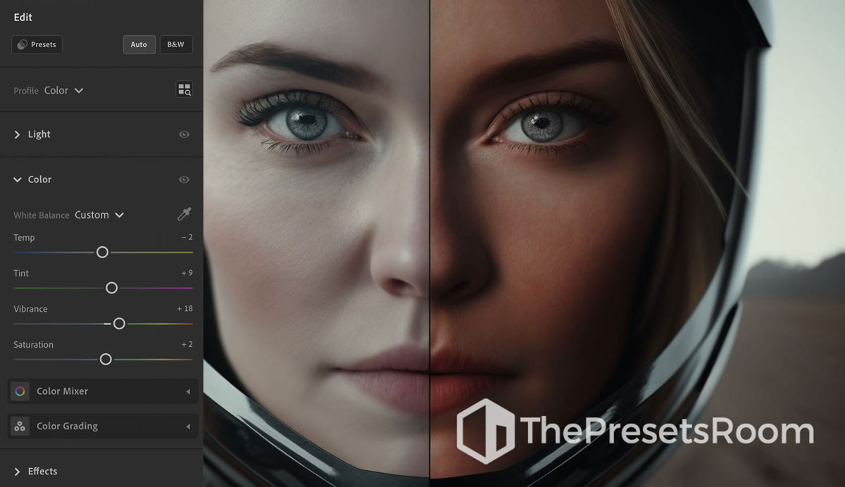 Where to go download presets for Lightroom